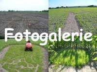 Das Maislabyrinth Venne 2014 in 100 Fotos