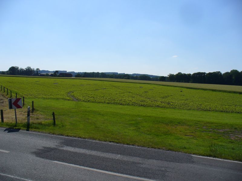 Maislabyrinth Venne 2014 - Fotogalerie - 17 von 100